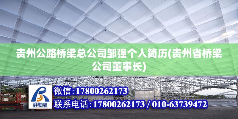 貴州公路橋梁總公司鄒強個人簡歷(貴州省橋梁公司董事長)