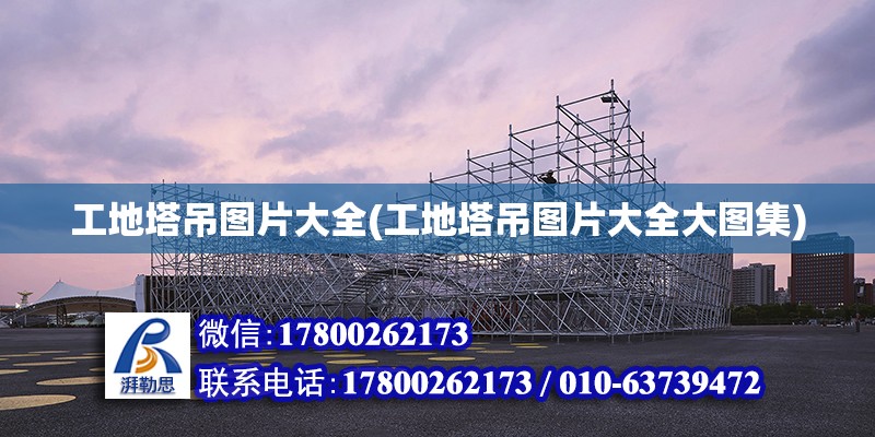 工地塔吊圖片大全(工地塔吊圖片大全大圖集) 北京鋼結構設計