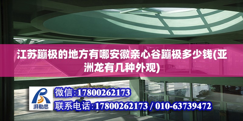 江蘇蹦極的地方有哪安徽親心谷蹦極多少錢(亞洲龍有幾種外觀) 結構砌體設計