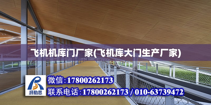 飛機機庫門廠家(飛機庫大門生產廠家) 鋼結構框架施工