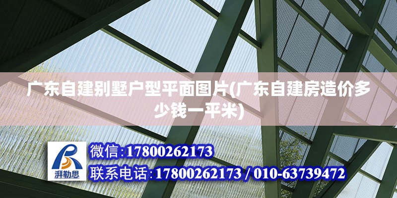 廣東自建別墅戶型平面圖片(廣東自建房造價多少錢一平米) 鋼結構玻璃棧道設計