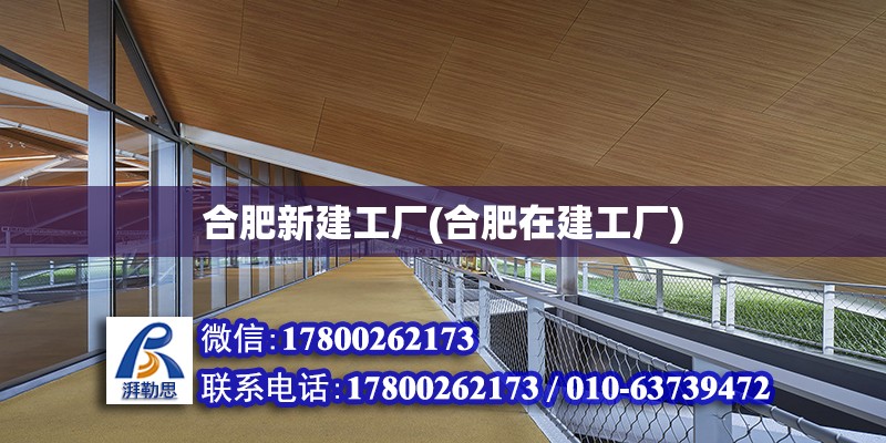 合肥新建工廠(合肥在建工廠) 鋼結(jié)構(gòu)門(mén)式鋼架施工