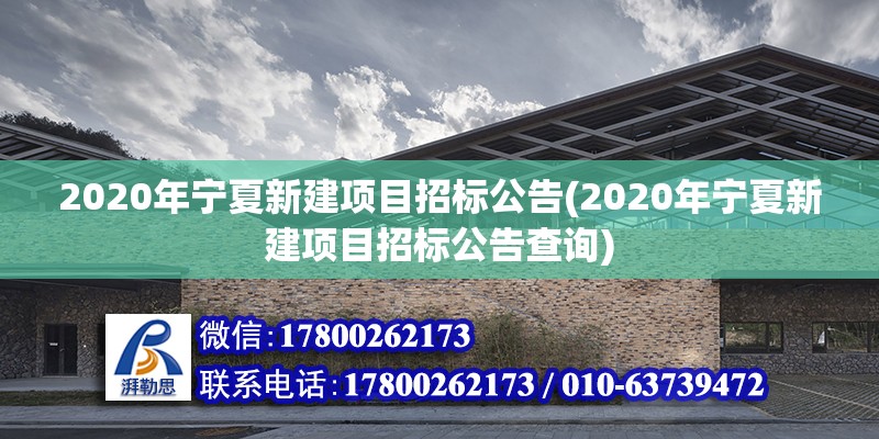 2020年寧夏新建項目招標公告(2020年寧夏新建項目招標公告查詢)