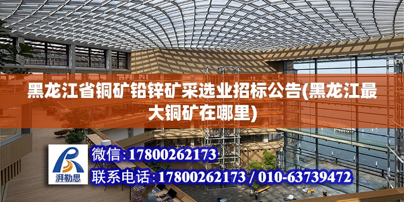 黑龍江省銅礦鉛鋅礦采選業招標公告(黑龍江最大銅礦在哪里)