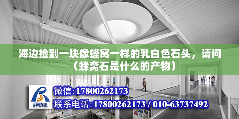 海邊撿到一塊像蜂窩一樣的乳白色石頭，請問（蜂窩石是什么的產物） 北京鋼結構設計