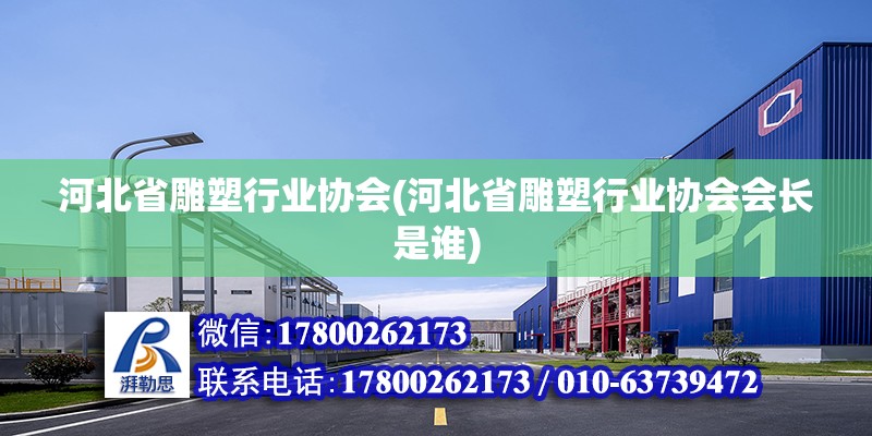 河北省雕塑行業協會(河北省雕塑行業協會會長是誰) 鋼結構跳臺設計