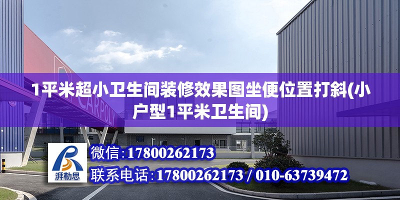 1平米超小衛(wèi)生間裝修效果圖坐便位置打斜(小戶型1平米衛(wèi)生間)