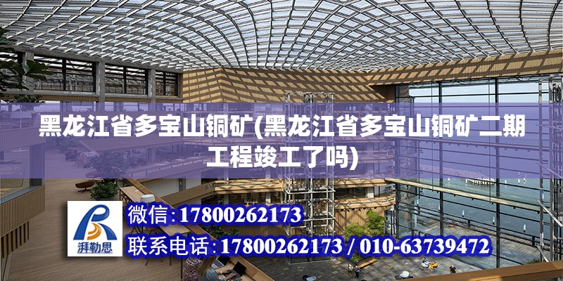 黑龍江省多寶山銅礦(黑龍江省多寶山銅礦二期工程竣工了嗎)