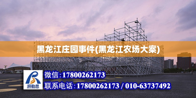 黑龍江莊園事件(黑龍江農(nóng)場大案) 結(jié)構(gòu)框架設(shè)計(jì)