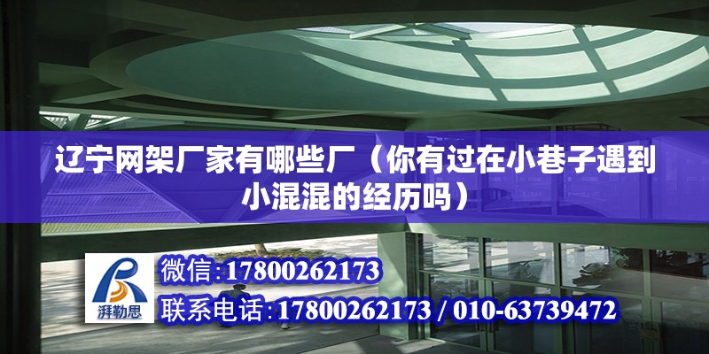 遼寧網架廠家有哪些廠（你有過在小巷子遇到小混混的經歷嗎） 結構工業鋼結構設計