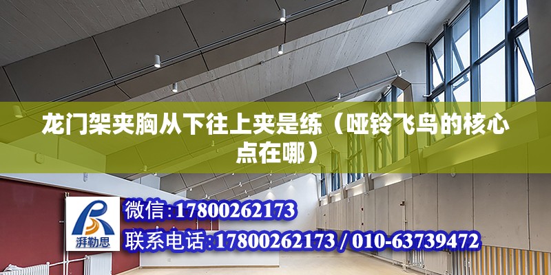 龍門架夾胸從下往上夾是練（啞鈴飛鳥的核心點在哪） 裝飾工裝施工