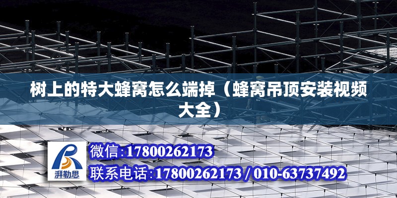 樹上的特大蜂窩怎么端掉（蜂窩吊頂安裝視頻大全） 北京鋼結構設計