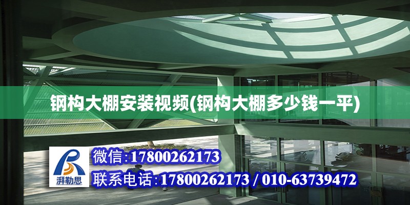 鋼構大棚安裝視頻(鋼構大棚多少錢一平) 鋼結構門式鋼架施工