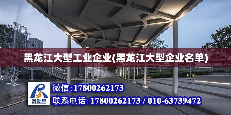 黑龍江大型工業(yè)企業(yè)(黑龍江大型企業(yè)名單) 結(jié)構(gòu)電力行業(yè)施工