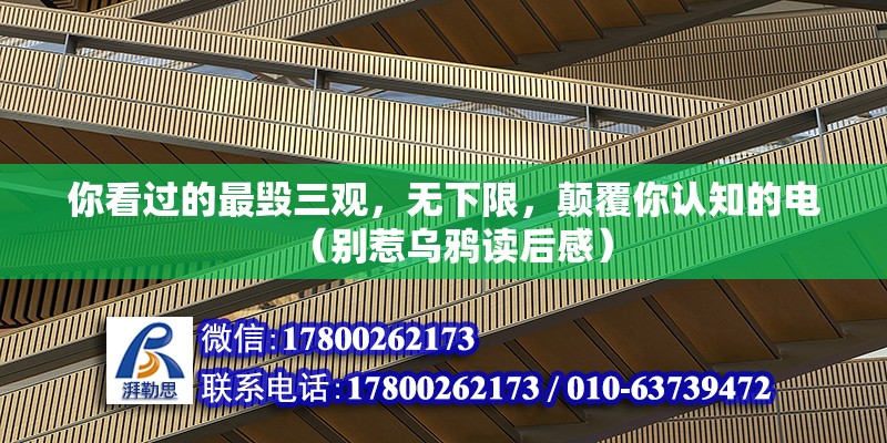 你看過的最毀三觀，無下限，顛覆你認知的電（別惹烏鴉讀后感）