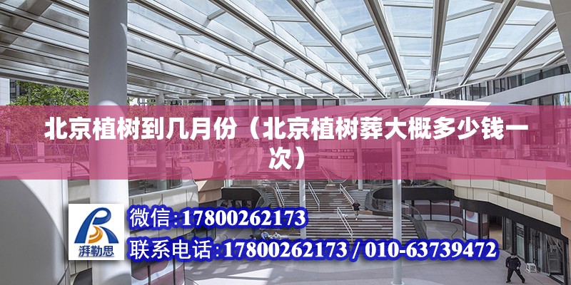 北京植樹到幾月份（北京植樹葬大概多少錢一次） 北京鋼結構設計