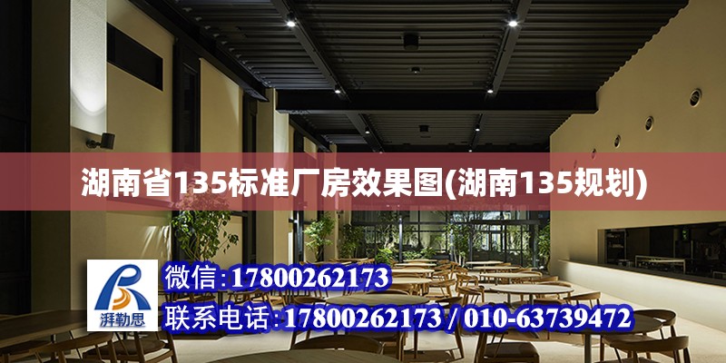 湖南省135標準廠房效果圖(湖南135規劃) 鋼結構網架設計