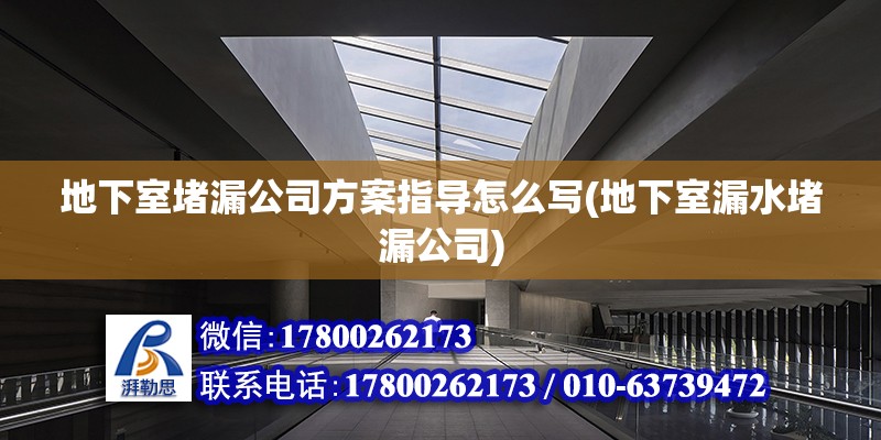 地下室堵漏公司方案指導怎么寫(地下室漏水堵漏公司) 鋼結構蹦極設計