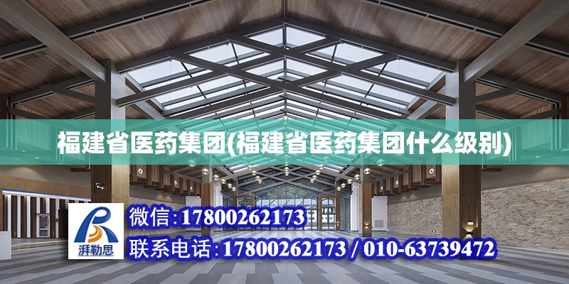 福建省醫(yī)藥集團(福建省醫(yī)藥集團什么級別) 鋼結構網架施工