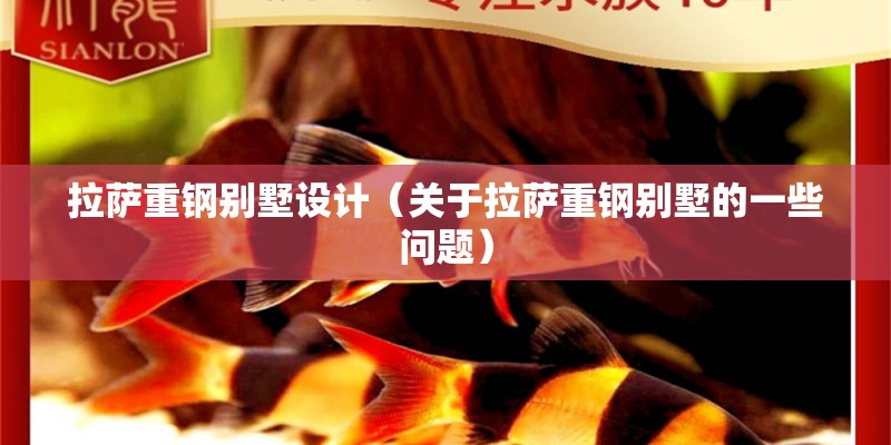 拉薩重鋼別墅設計（關于拉薩重鋼別墅的一些問題） 結構工業鋼結構施工