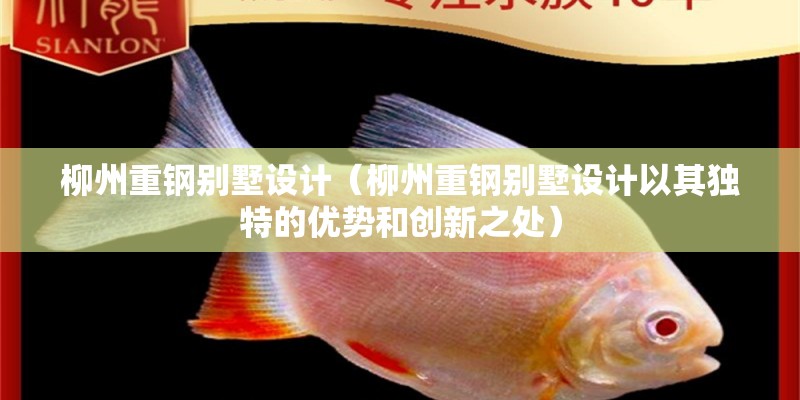 柳州重鋼別墅設計（柳州重鋼別墅設計以其獨特的優勢和創新之處） 鋼結構門式鋼架施工