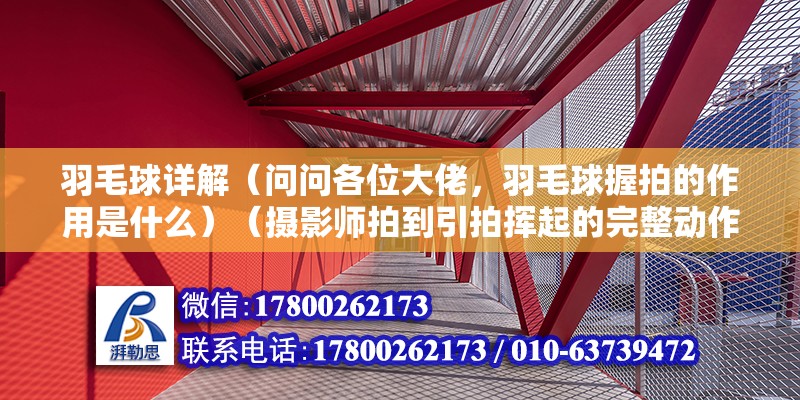 羽毛球詳解（問問各位大佬，羽毛球握拍的作用是什么）（攝影師拍到引拍揮起的完整動作，且拍面要對面，）