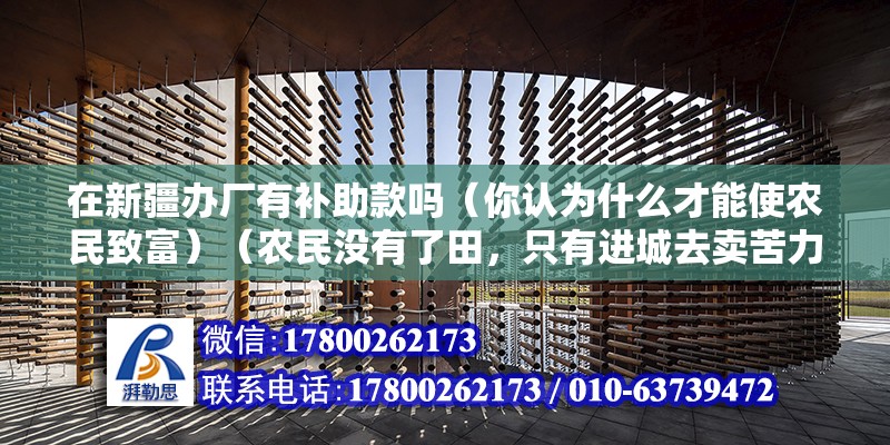 在新疆辦廠有補助款嗎（你認為什么才能使農民致富）（農民沒有了田，只有進城去賣苦力） 結構框架設計