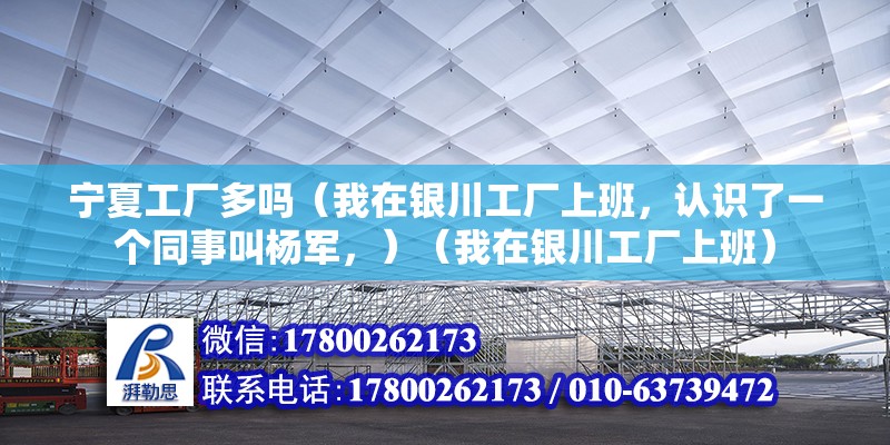 寧夏工廠多嗎（我在銀川工廠上班，認識了一個同事叫楊軍，）（我在銀川工廠上班）