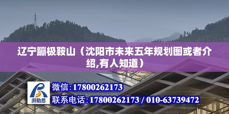 遼寧蹦極鞍山（沈陽市未來五年規劃圖或者介紹,有人知道） 結構橋梁鋼結構施工