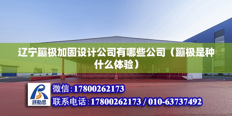 遼寧蹦極加固設計公司有哪些公司（蹦極是種什么體驗） 結構機械鋼結構設計