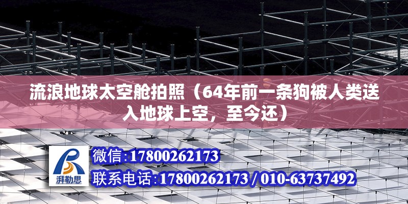 流浪地球太空艙拍照（64年前一條狗被人類送入地球上空，至今還）