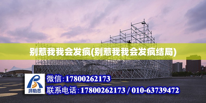 別惹我我會發瘋(別惹我我會發瘋結局) 結構工業鋼結構施工