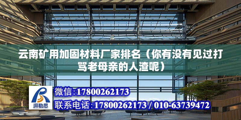 云南礦用加固材料廠家排名（你有沒有見過打罵老母親的人渣呢） 結構砌體設計