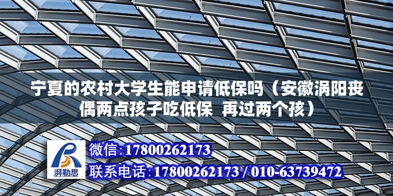 寧夏的農(nóng)村大學(xué)生能申請低保嗎（安徽渦陽喪偶兩點孩子吃低保  再過兩個孩）