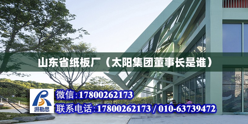 山東省紙板廠（太陽集團董事長是誰） 結構電力行業施工