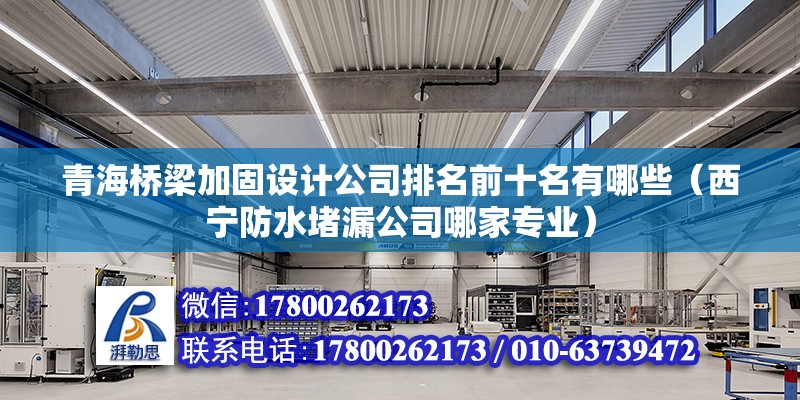 青海橋梁加固設(shè)計(jì)公司排名前十名有哪些（西寧防水堵漏公司哪家專業(yè)） 鋼結(jié)構(gòu)門式鋼架施工