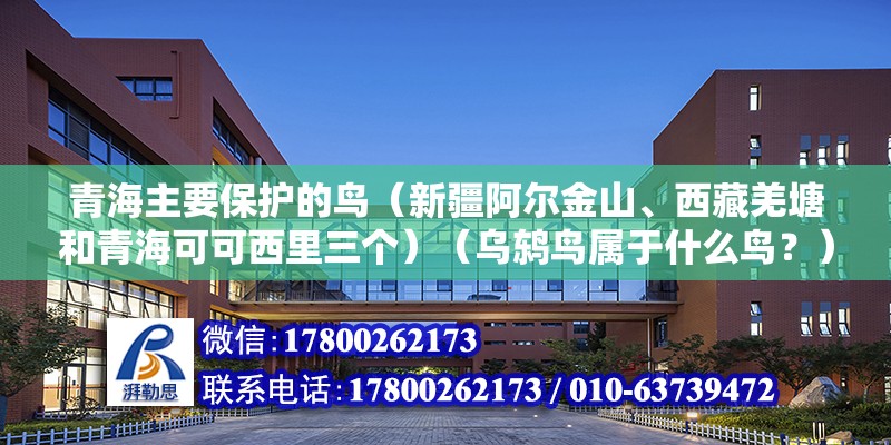 青海主要保護(hù)的鳥（新疆阿爾金山、西藏羌塘和青海可可西里三個(gè)）（烏鶇鳥屬于什么鳥？） 結(jié)構(gòu)橋梁鋼結(jié)構(gòu)施工