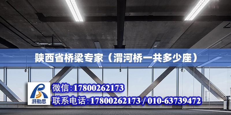 陜西省橋梁專家（渭河橋一共多少座） 結構電力行業設計 第2張