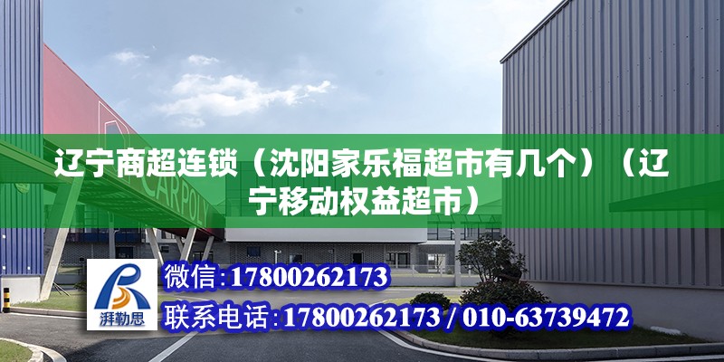 遼寧商超連鎖（沈陽家樂福超市有幾個）（遼寧移動權(quán)益超市）