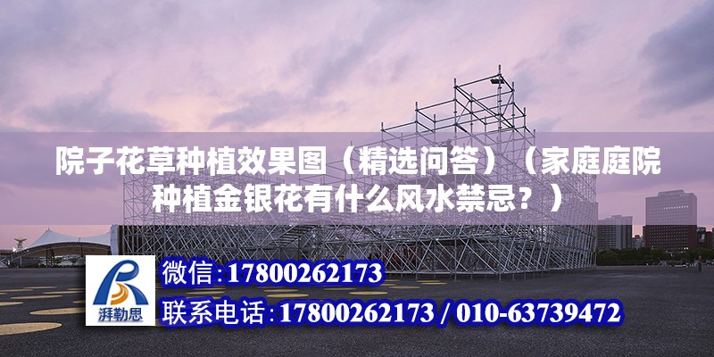 院子花草種植效果圖（精選問答）（家庭庭院種植金銀花有什么風水禁忌？）