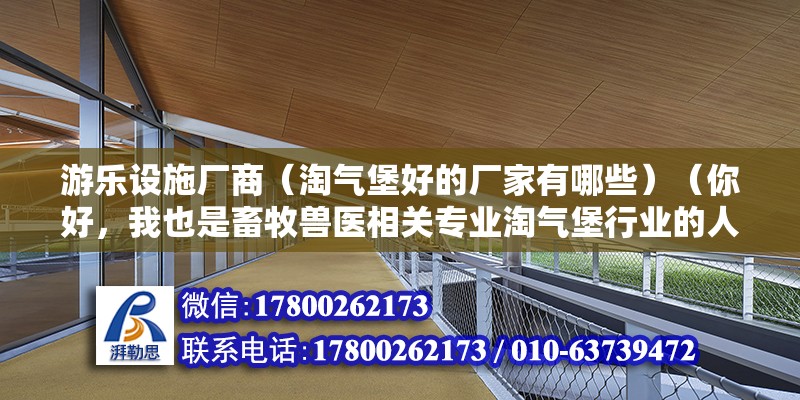 游樂設施廠商（淘氣堡好的廠家有哪些）（你好，我也是畜牧獸醫相關專業淘氣堡行業的人）