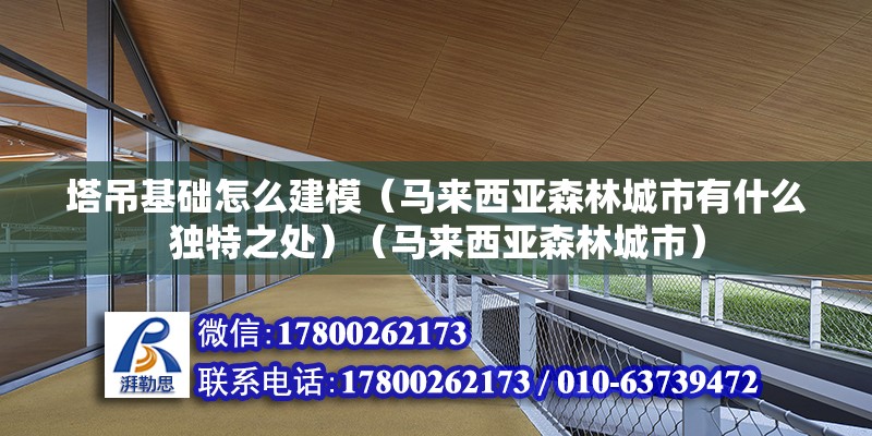 塔吊基礎怎么建模（馬來西亞森林城市有什么獨特之處）（馬來西亞森林城市） 鋼結構鋼結構停車場施工