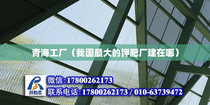 青海工廠（我國最大的鉀肥廠建在哪） 結構地下室施工