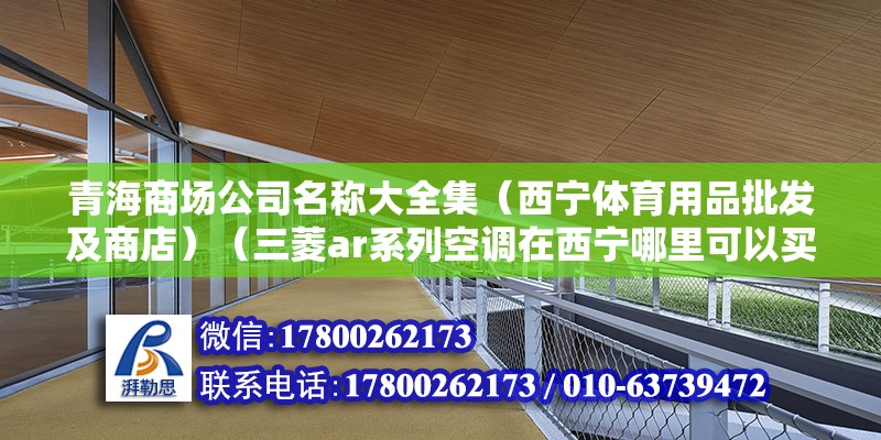 青海商場公司名稱大全集（西寧體育用品批發及商店）（三菱ar系列空調在西寧哪里可以買） 裝飾工裝設計