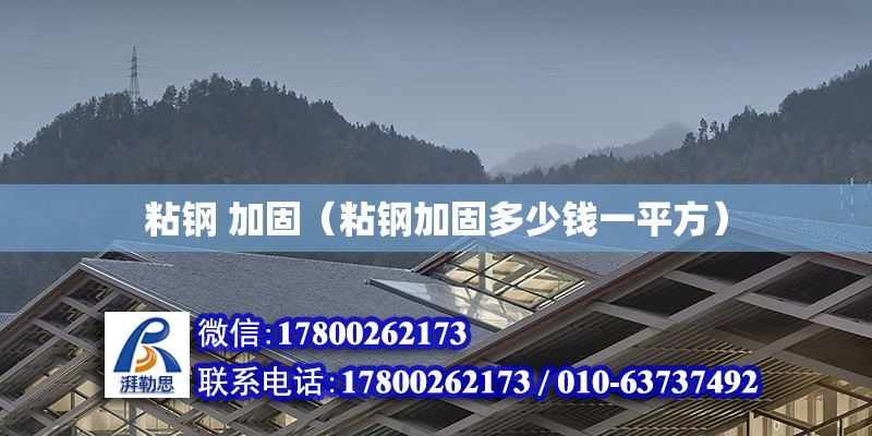 粘鋼 加固（粘鋼加固多少錢一平方） 鋼結構網架設計