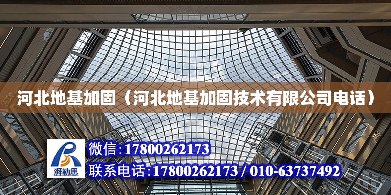 河北地基加固（河北地基加固技術有限公司電話） 鋼結構網架設計