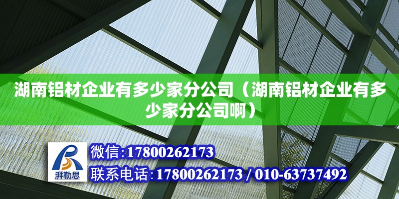 湖南鋁材企業有多少家分公司（湖南鋁材企業有多少家分公司啊）