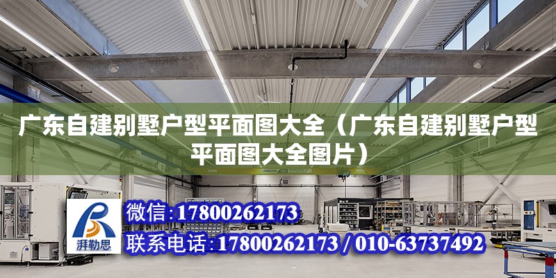 廣東自建別墅戶型平面圖大全（廣東自建別墅戶型平面圖大全圖片）