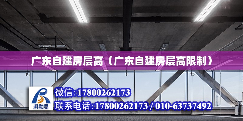 廣東自建房層高（廣東自建房層高限制） 鋼結構網架設計