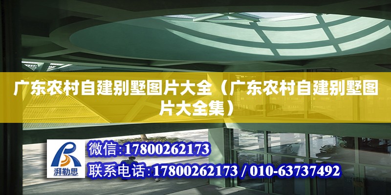 廣東農村自建別墅圖片大全（廣東農村自建別墅圖片大全集） 鋼結構網架設計